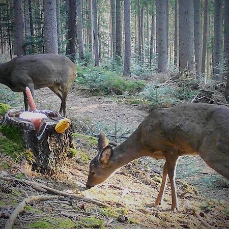 Ferienwohnung Kochs Beeren Oberfresen Exteriér fotografie